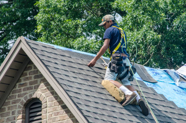 Best Roof Gutter Cleaning  in Northvale, NJ